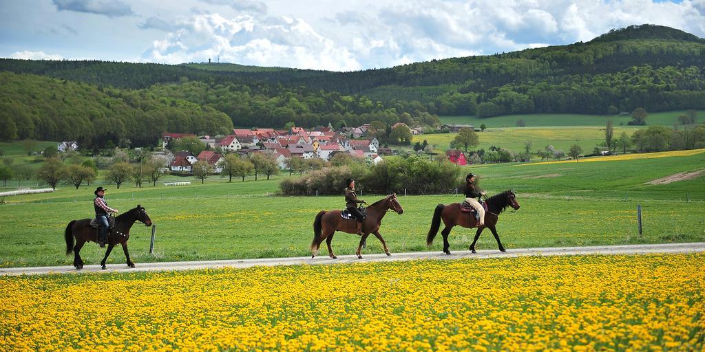 Landhotel Zur Gruenen Kutte 乌尔斯豪森 外观 照片